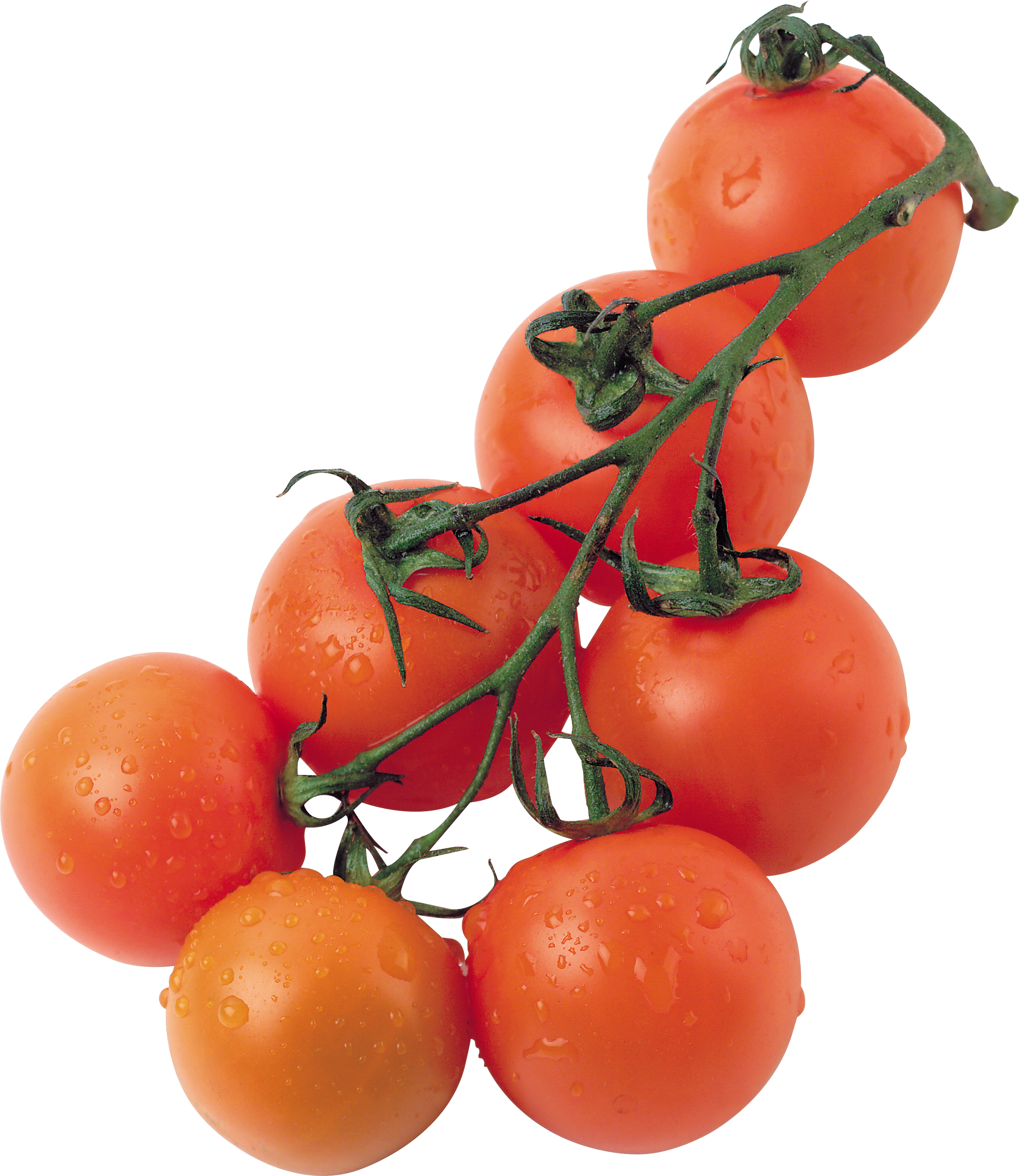 Cherry tomato PNG