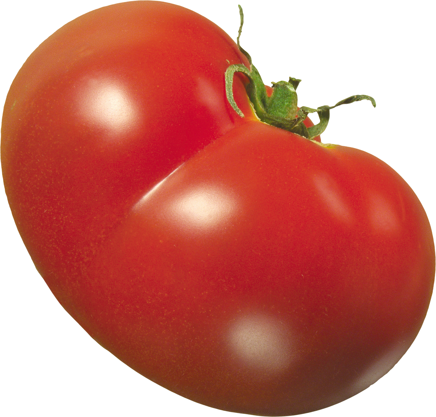 Tomato PNG picture