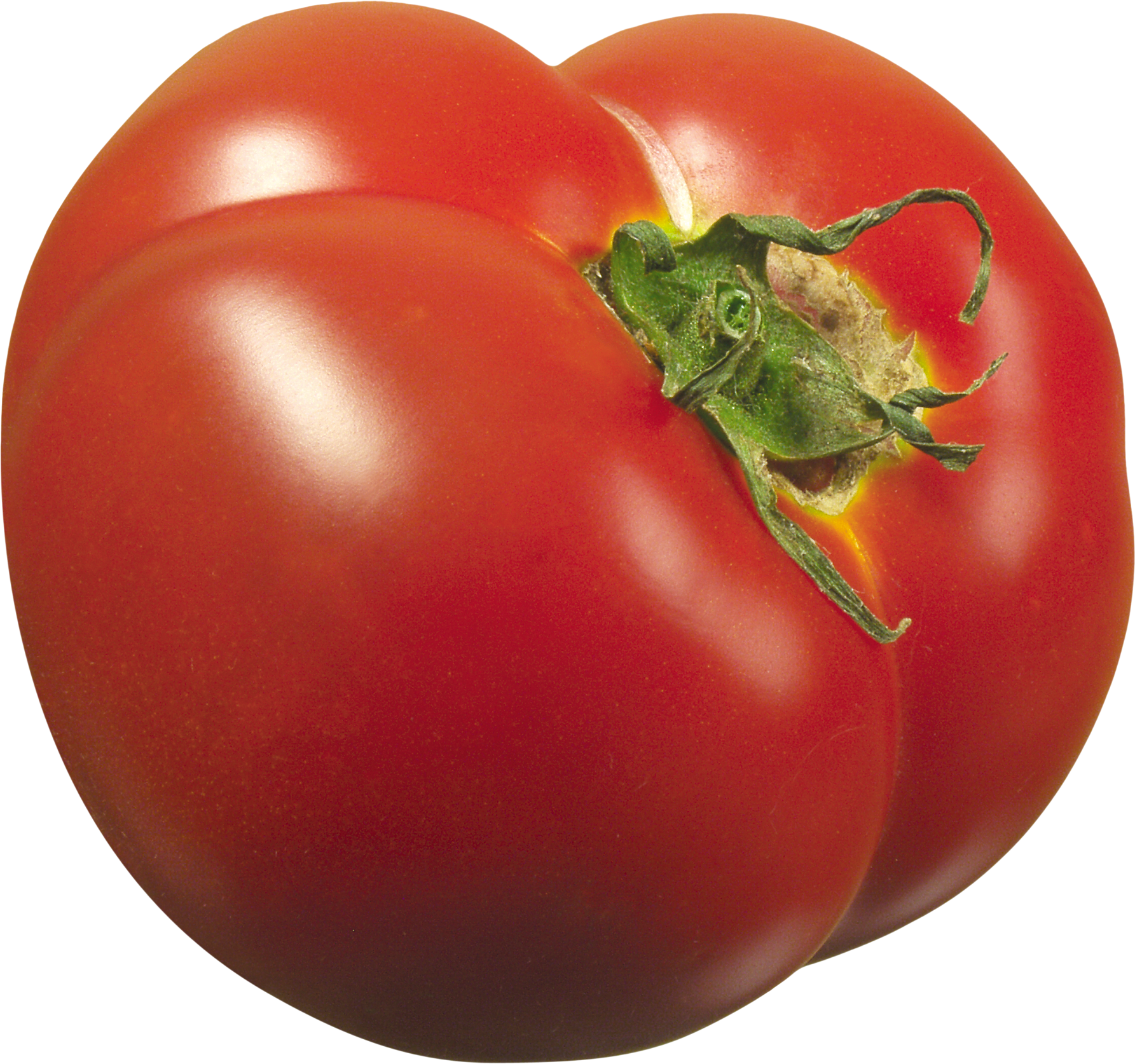 fresh big tomato PNG