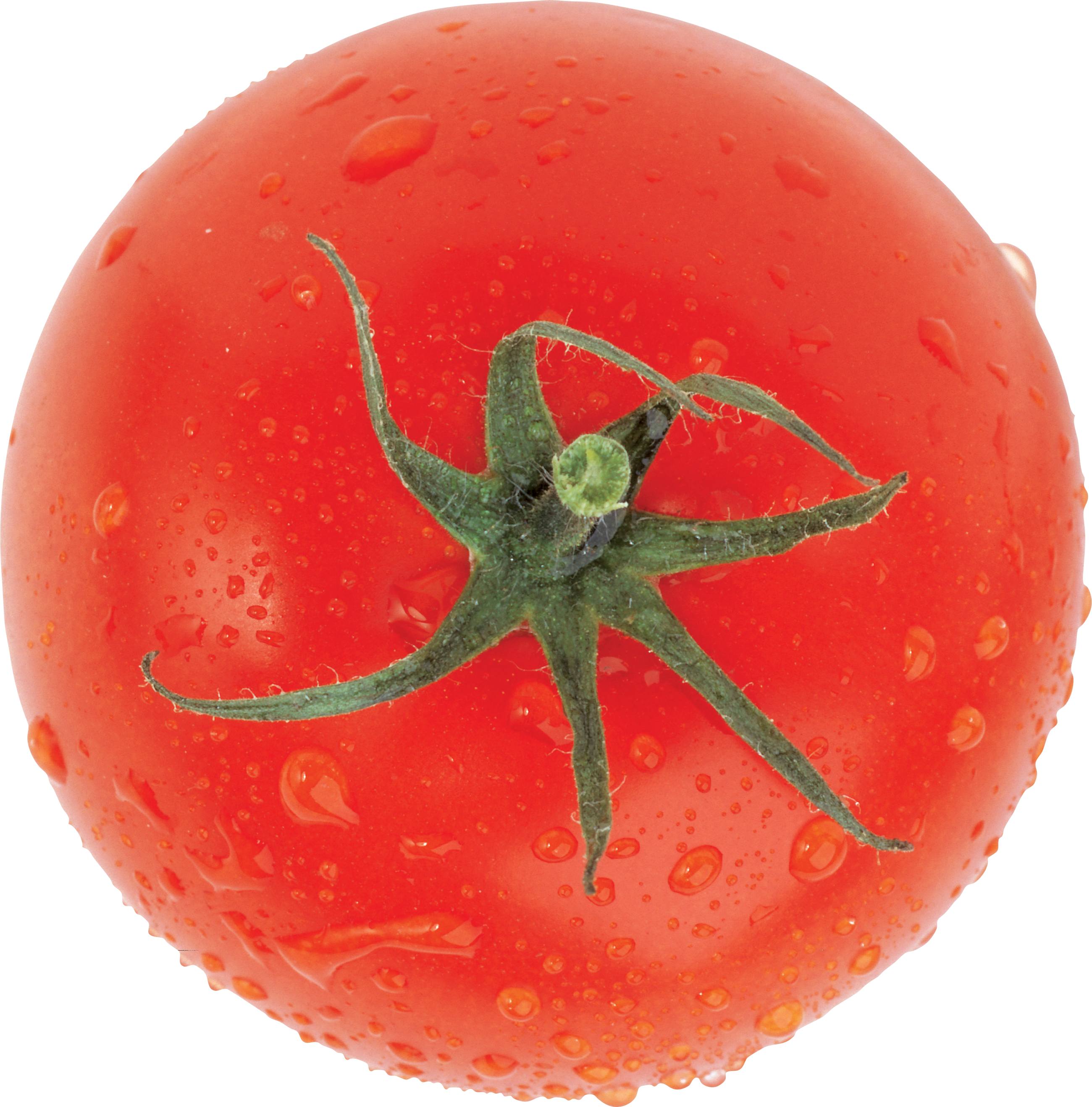 Tomato PNG image transparent