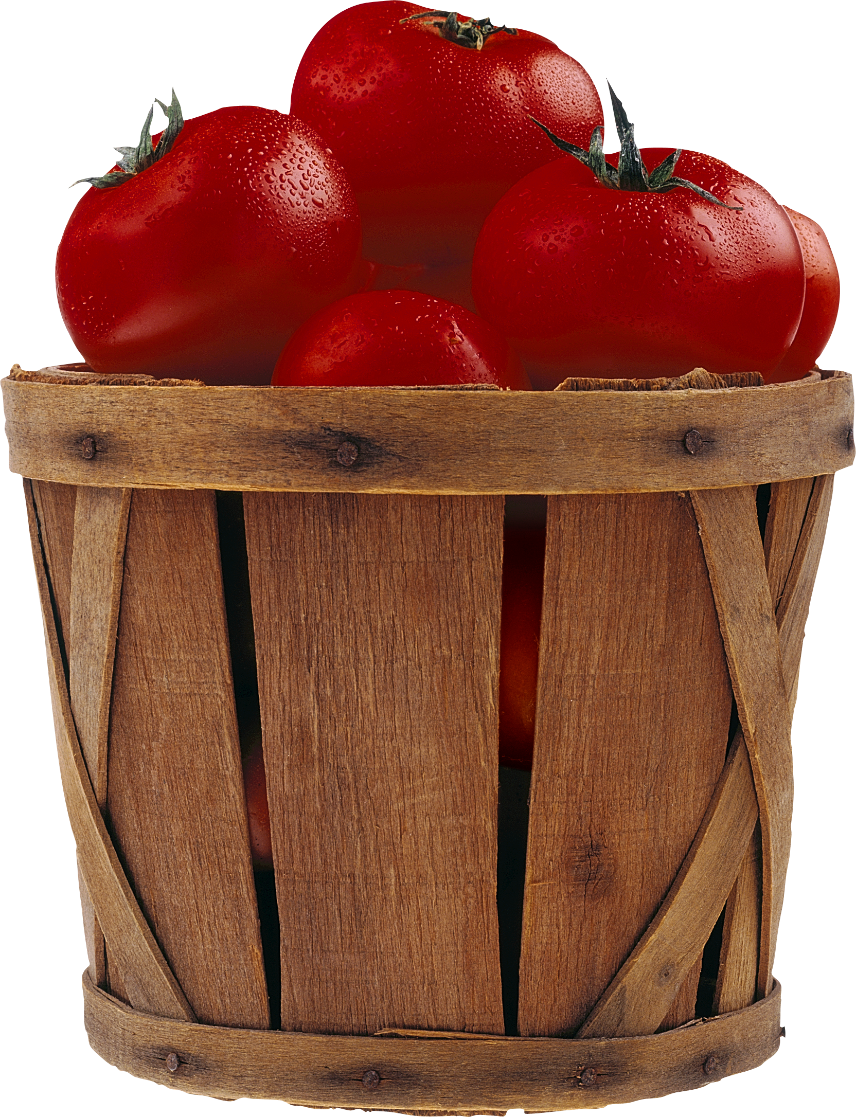 Tomatoes in bucket PNG