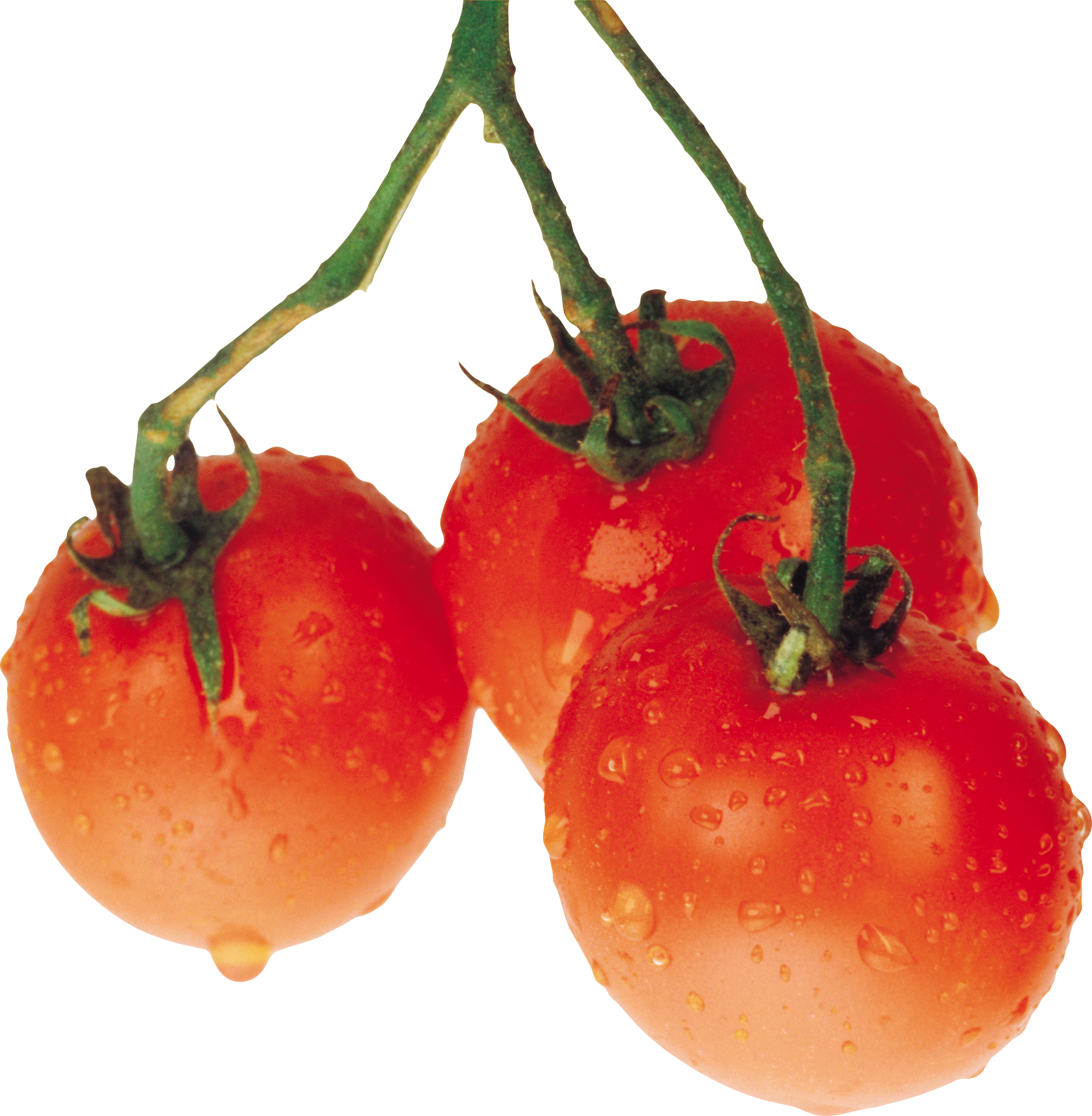 wet tomatoes PNG