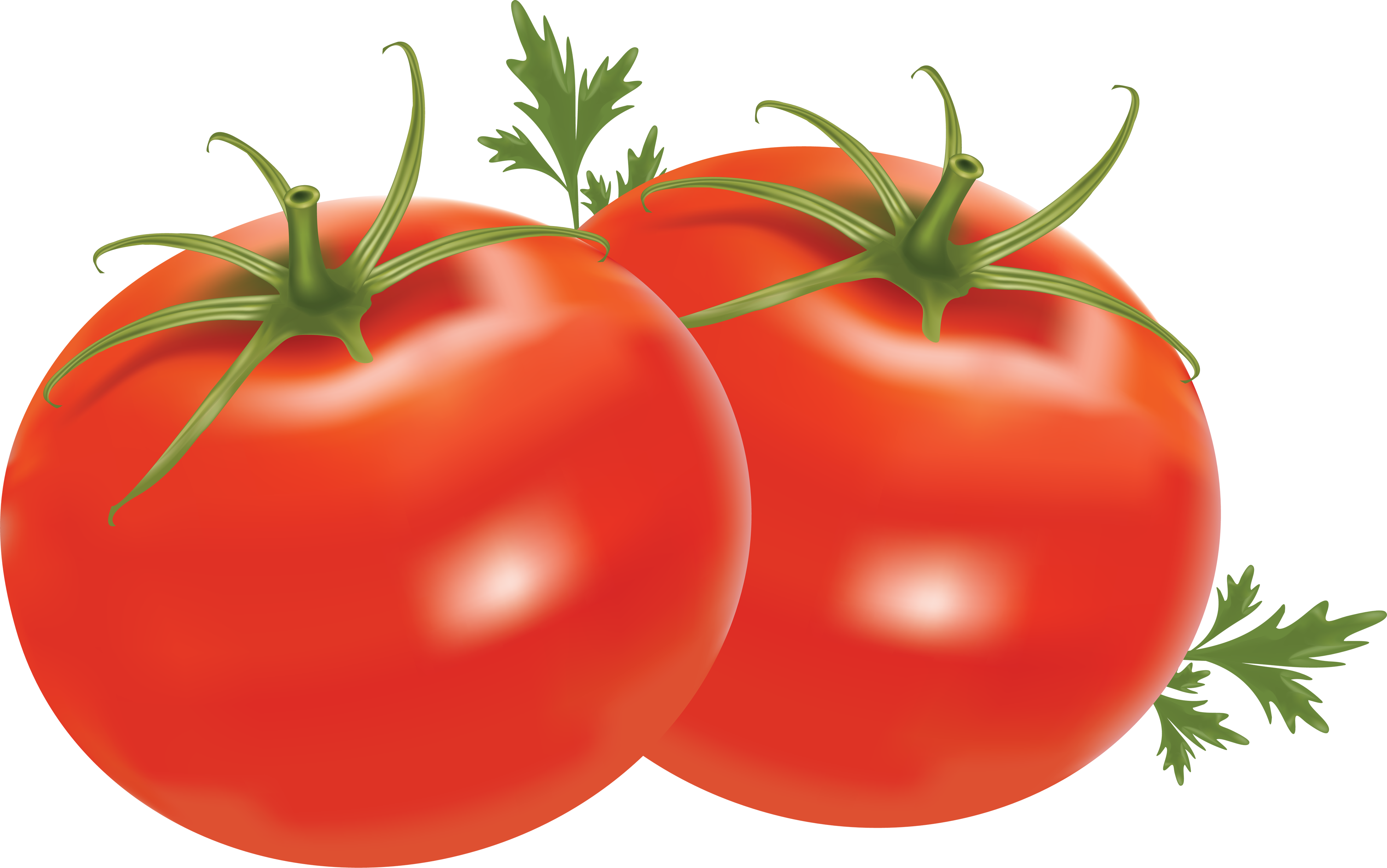 Tomatoes PNG picture