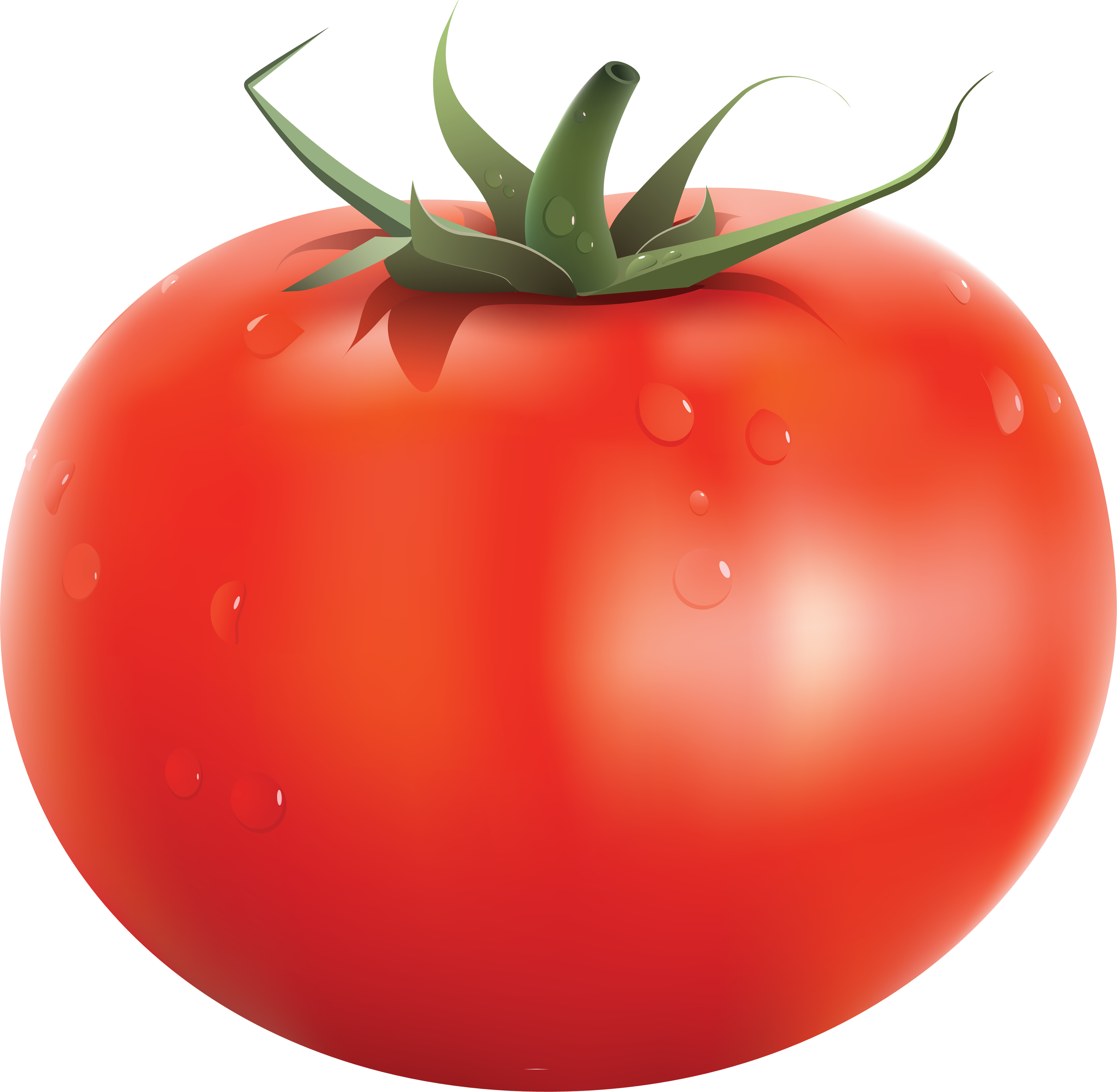 large red tomato PNG