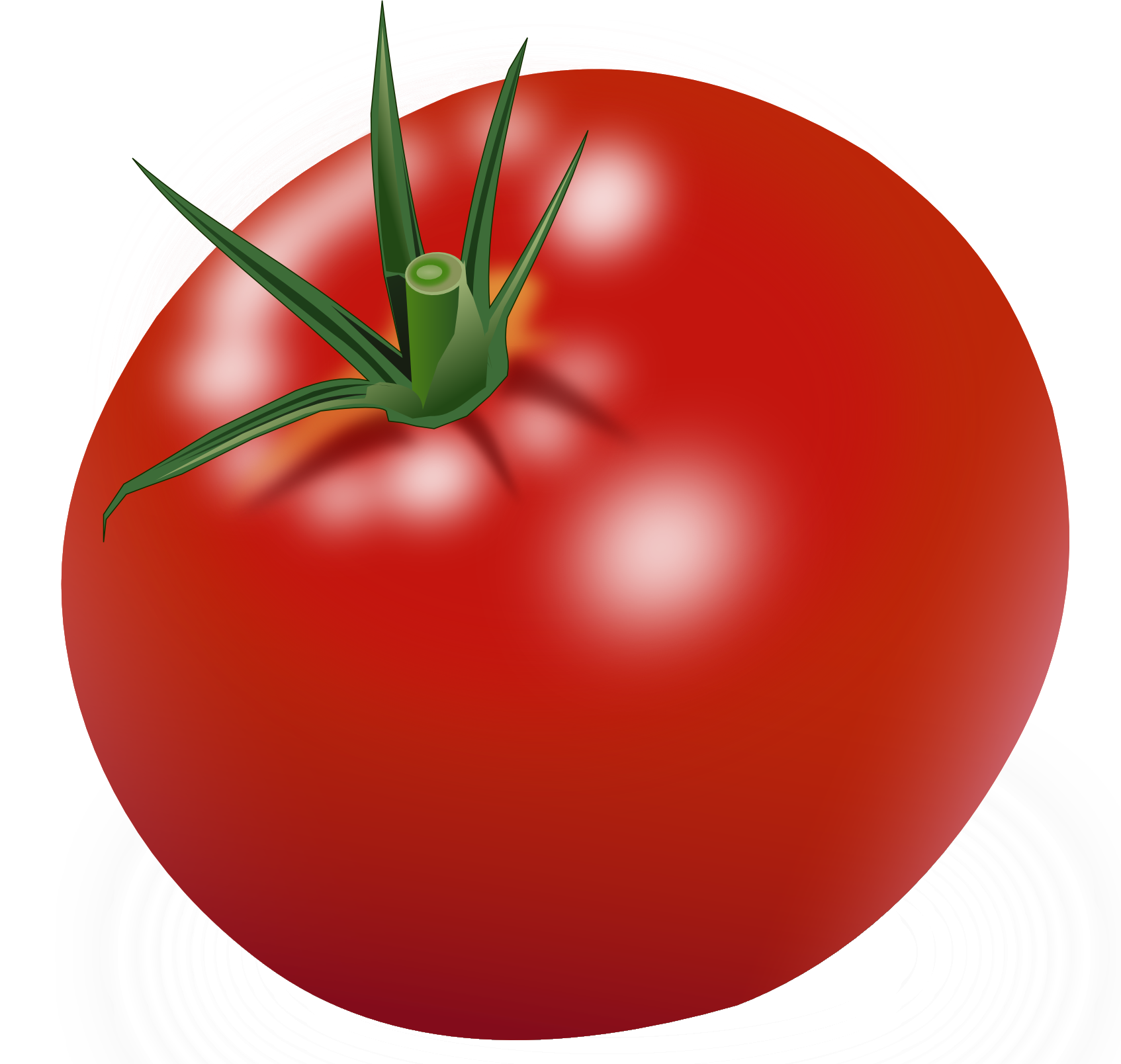 red big tomato PNG