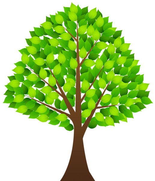 Tree PNG
