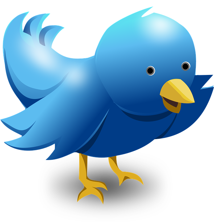 Twitter logo PNG transparent image download, size: 694x720px