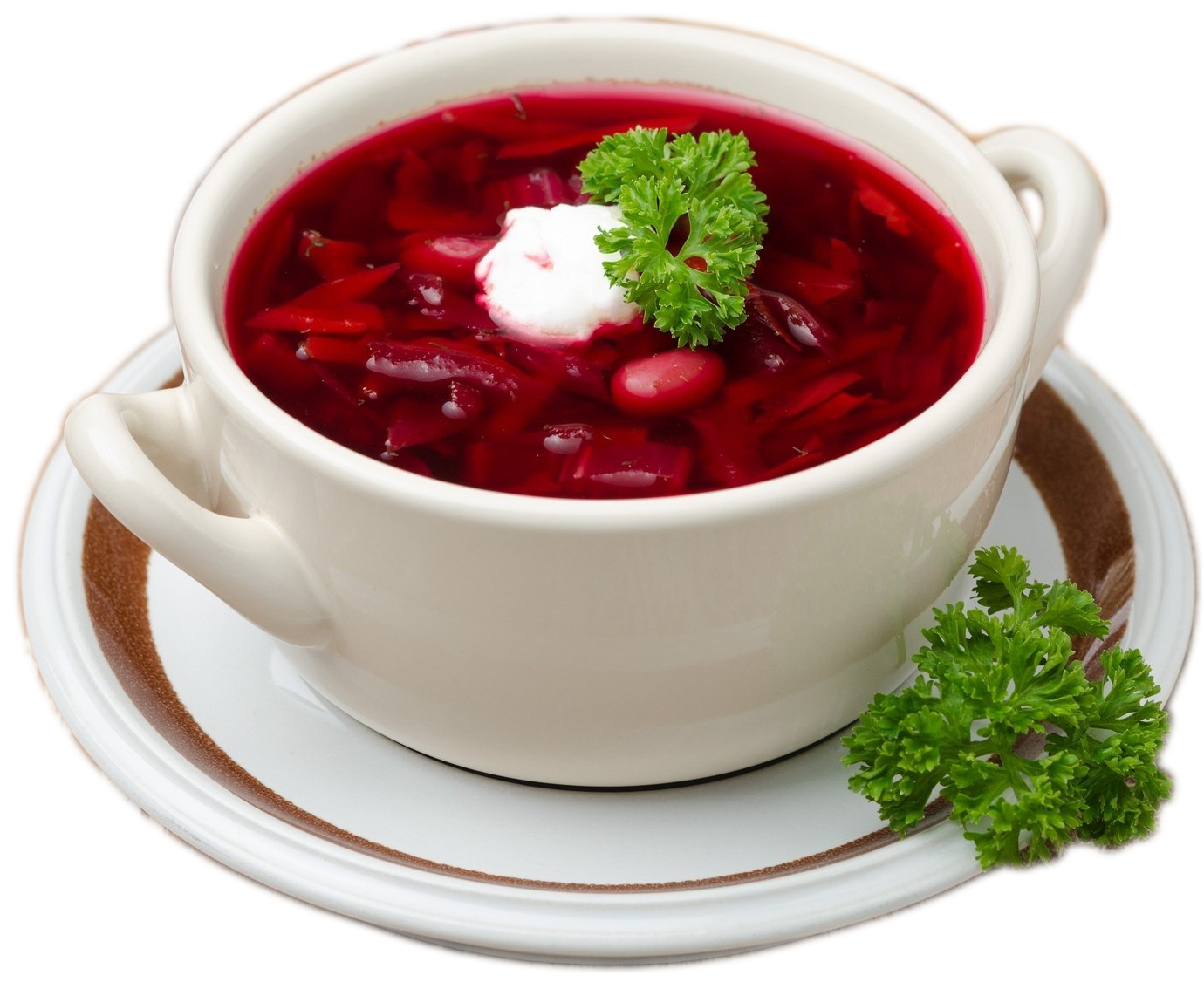 Ukraine Food Borscht PNG Transparent Image Download Size 1380x1134px