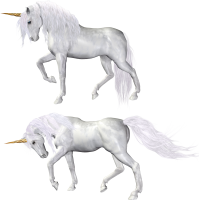 Unicorn PNG