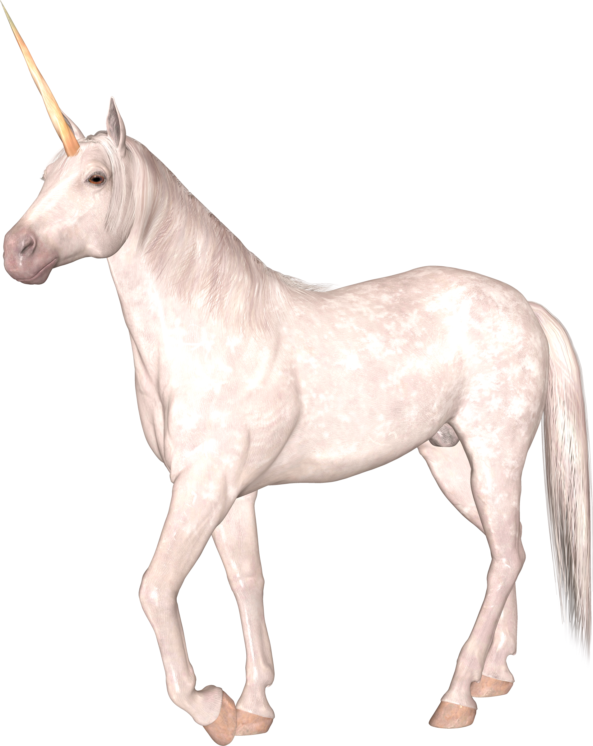 Unicornio PNG