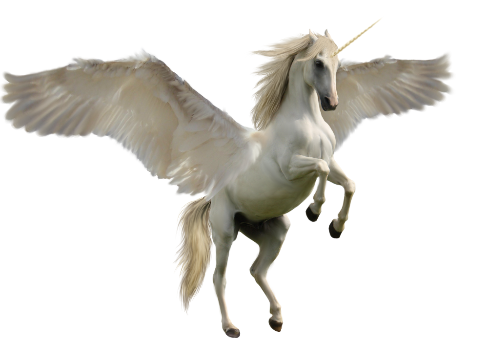 Unicorn Png Transparent Image Download Size X Px