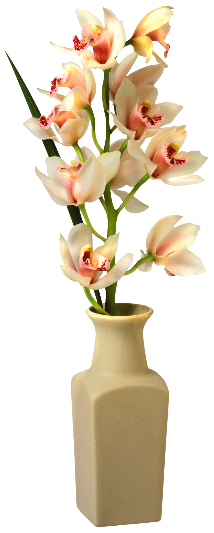 Vase PNG