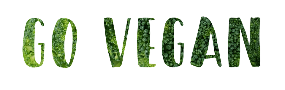 vegan icon PNG
