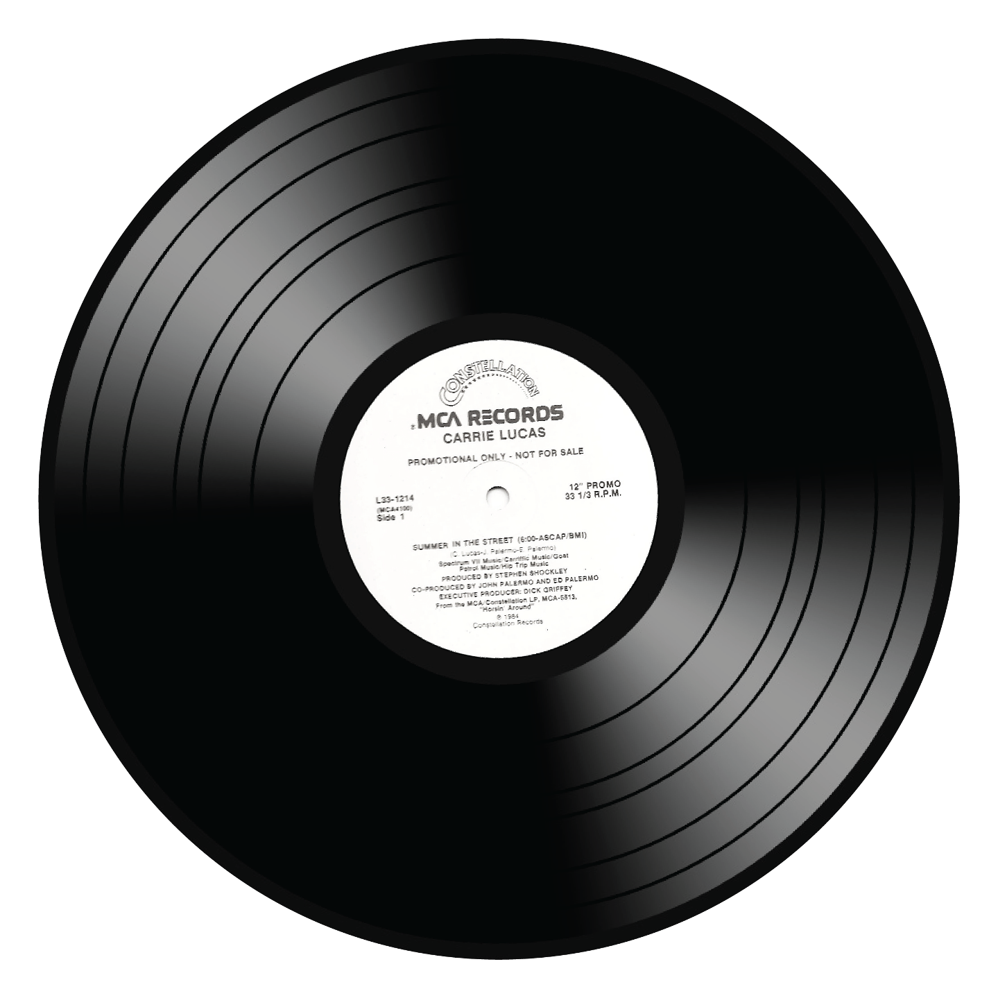 Vinyl Record PNG
