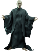 Lord Voldemort PNG