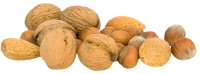 Грецкий орех PNG