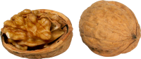 Грецкий орех PNG