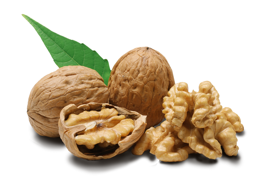 walnut