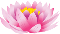 Water lily PNG