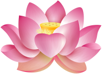 Water lily PNG