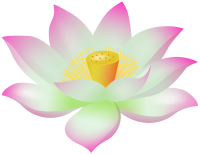 Water lily PNG
