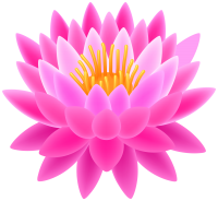 Water lily PNG