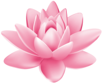 Water lily PNG
