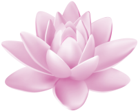 Water lily PNG