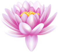 Water lily PNG