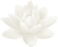 Water lily PNG