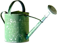 Watering can PNG old