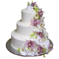 Свадебный торт PNG