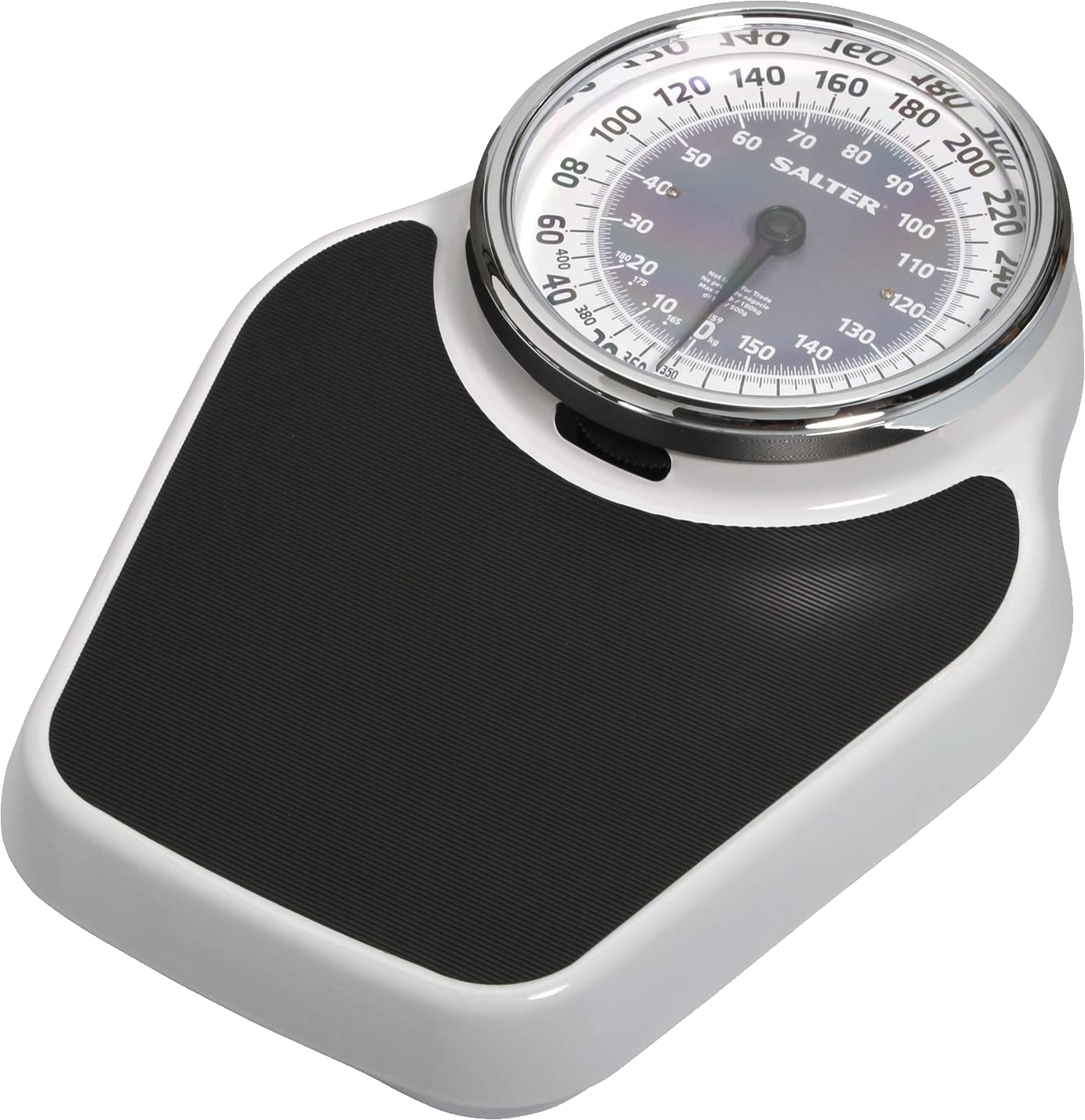 Best Budget Smart Weight Scale 2024 - Fina Rosana