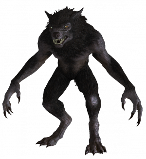 Werewolf PNG images 