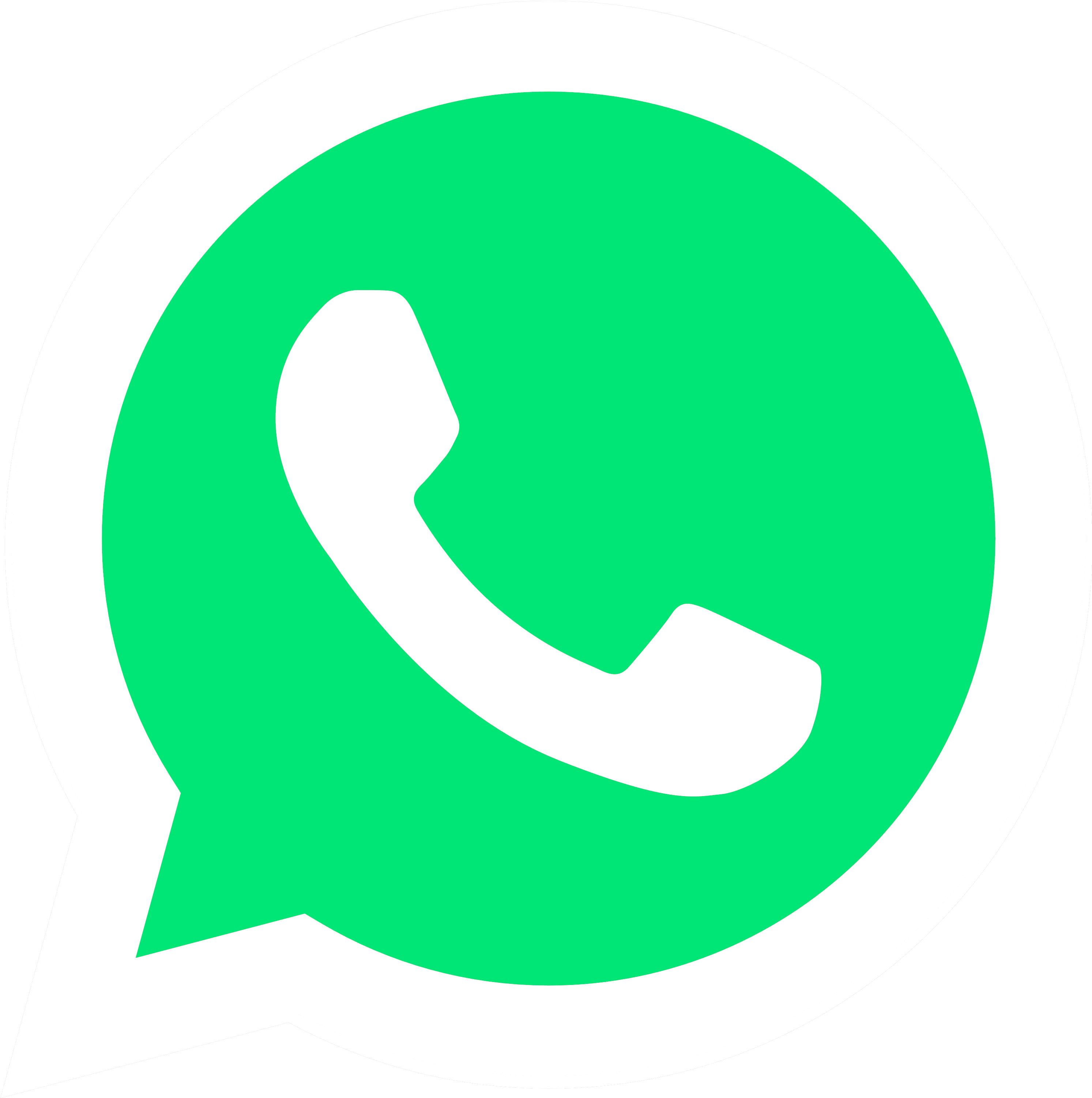 Логотип whatsapp без фона