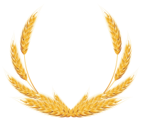 Wheat PNG