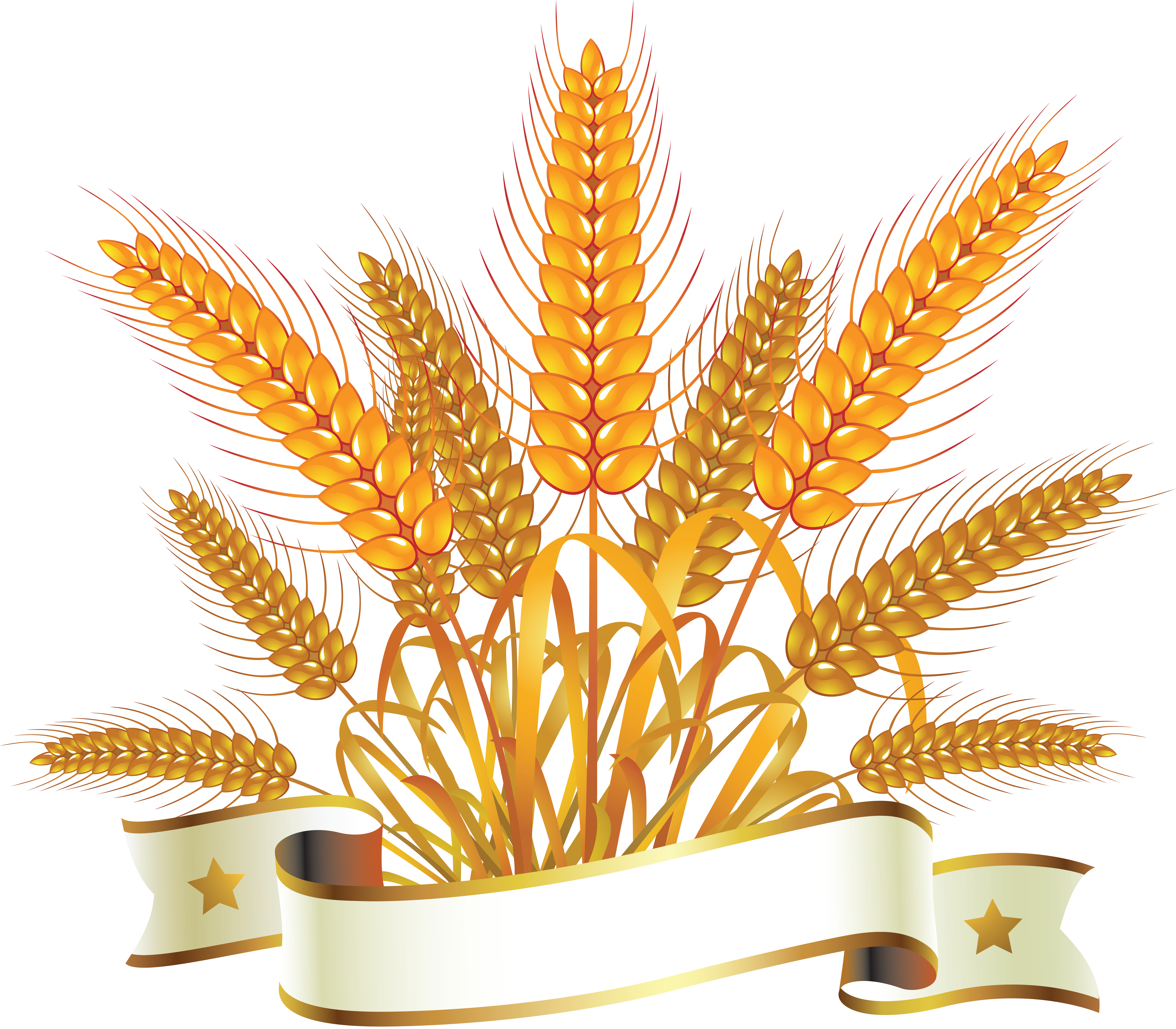 Wheat PNG