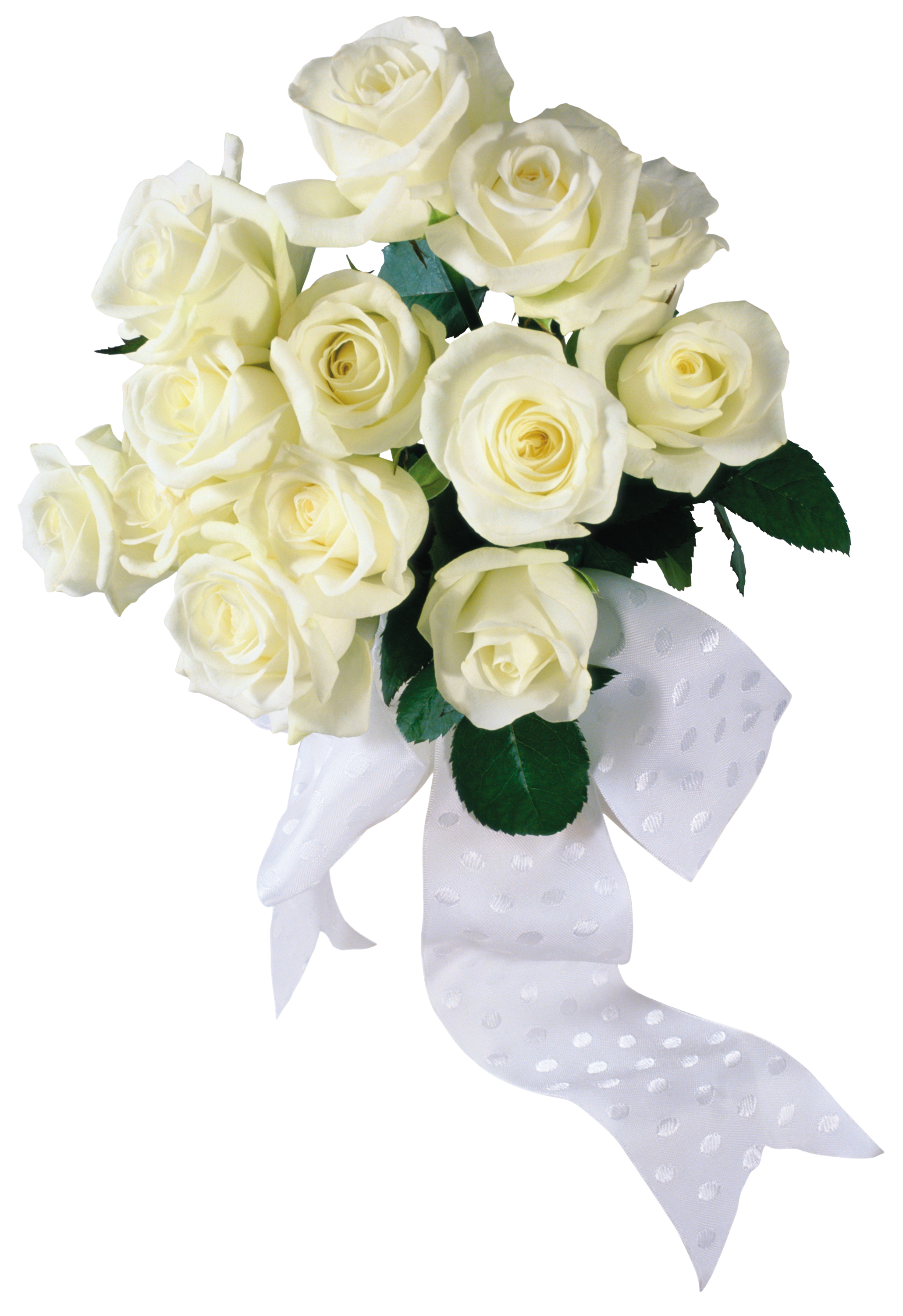 White roses PNG image