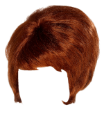 Hair wig PNG