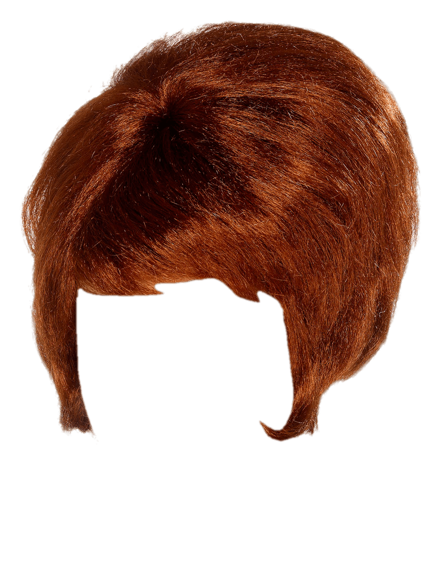 Hair wig PNG