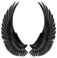 Wings PNG