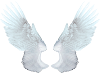 Крылья ангела PNG
