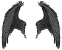 Черные крылья PNG