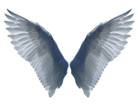 Крылья ангела PNG