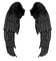 Black evil wings PNG