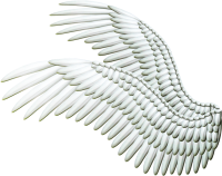 Ангельские крылья PNG