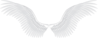 Ангельские крылья PNG