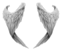 Белые крылья PNG