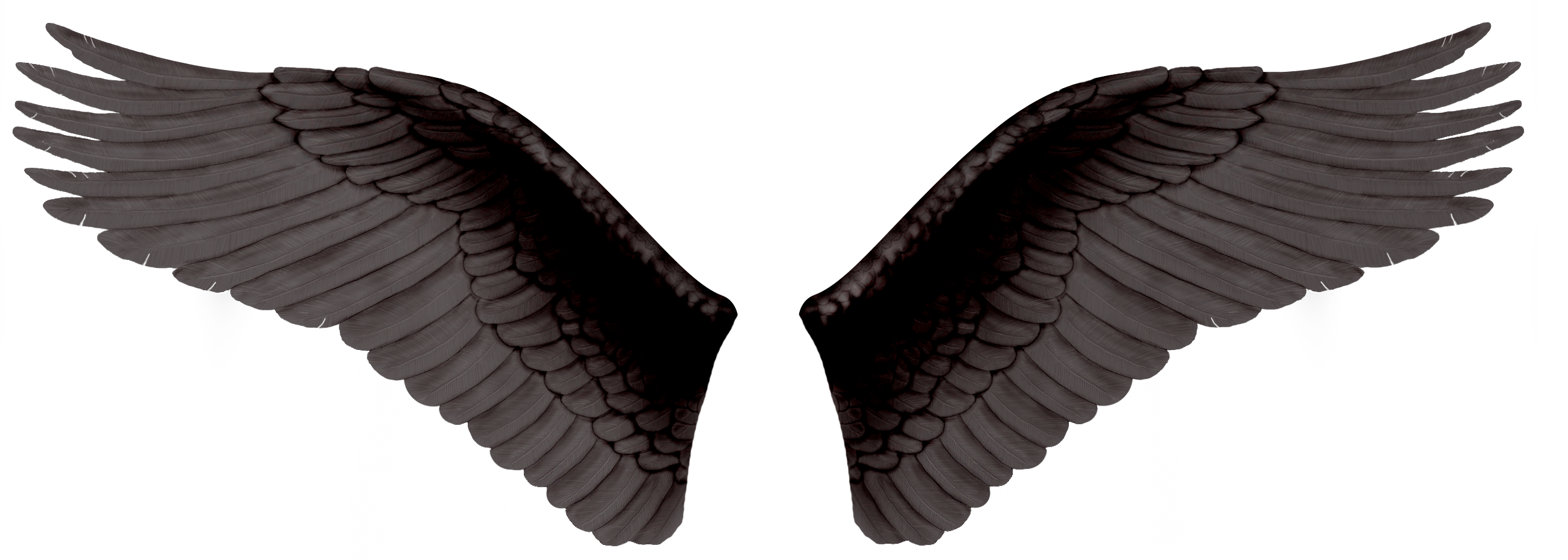 Wings Png Transparent Image Download Size 2598x928px