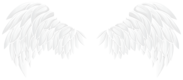 Black Wings PNG Image - PurePNG  Free transparent CC0 PNG Image Library
